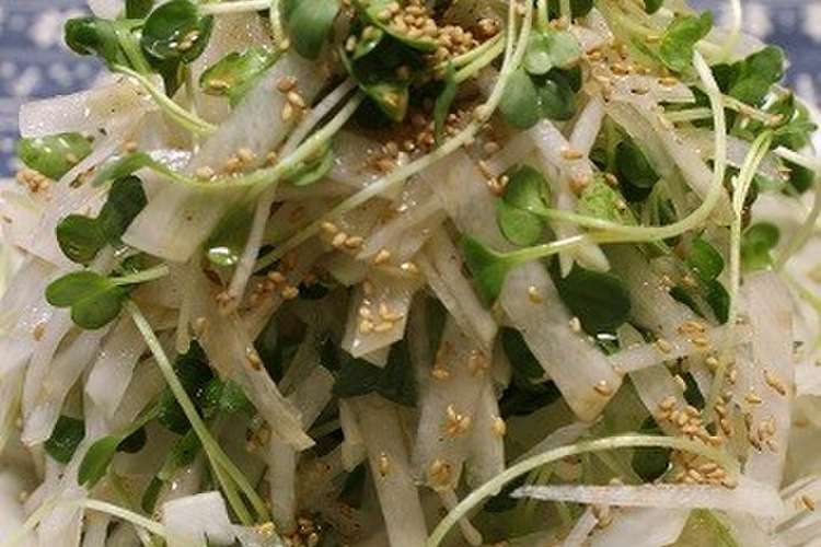節約 箸が止まらない 大根サラダ レシピ 作り方 By とまとママ クックパッド 簡単おいしいみんなのレシピが358万品