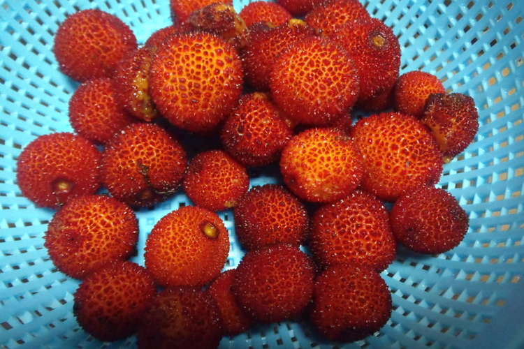 「イチゴの木」の実ジャムu2026珍品ジャム？