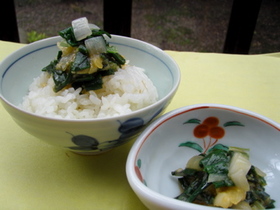 ご飯のおとも、葉玉ねぎのみそ炒め