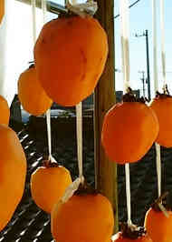 みんなが作ってる 干し柿 紐のレシピ クックパッド 簡単おいしいみんなのレシピが355万品