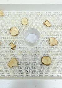 食品乾燥機で菊芋の乾燥