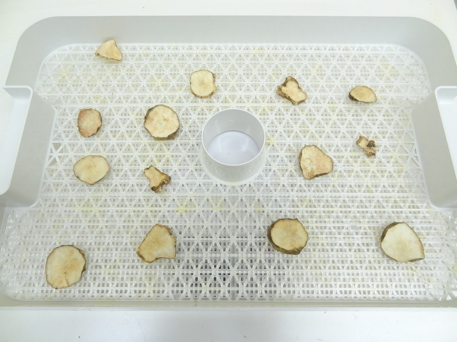 食品乾燥機で菊芋の乾燥の画像