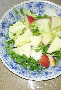 林檎、豆苗、玉ねぎ、白菜サラダ