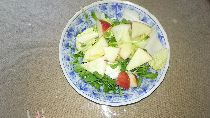 林檎、豆苗、玉ねぎ、白菜サラダの画像