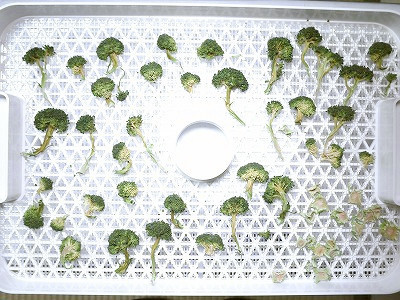 野菜乾燥機で作る干しブロッコリーの画像