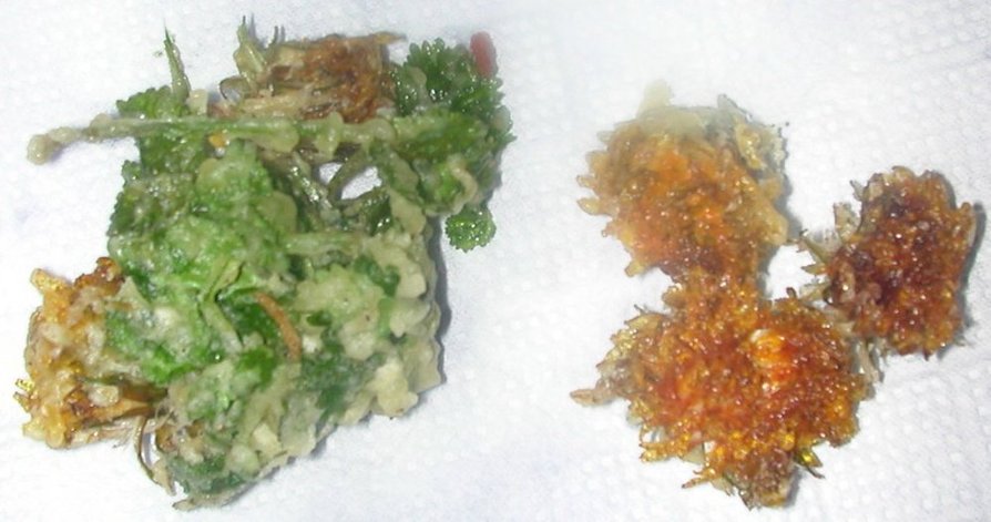 タンポポの花とコリアンダーの葉のかき揚げの画像