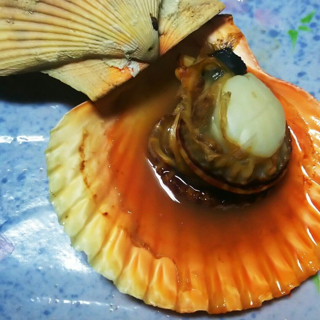 長島産ヒオウギ貝のオーブントースター焼き レシピ 作り方 By 鹿児島県長島町 クックパッド 簡単おいしいみんなのレシピが366万品