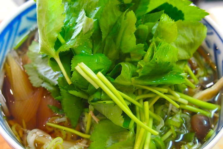 たっぷり三つ葉の温かい蕎麦 レシピ 作り方 By うまいもんドットコム クックパッド 簡単おいしいみんなのレシピが355万品