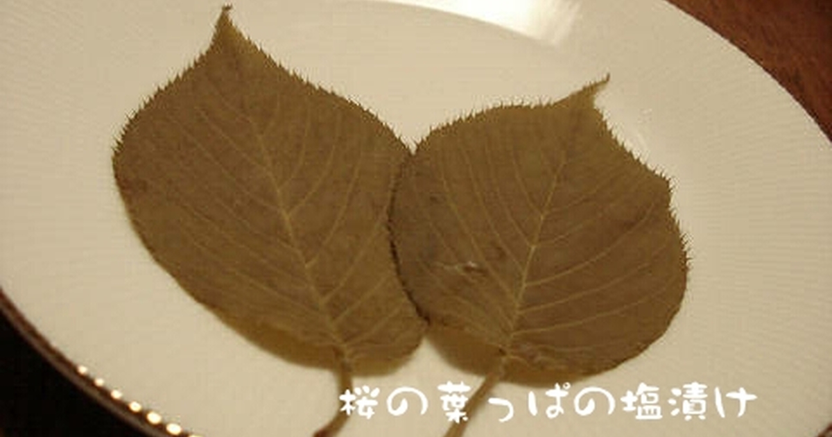桜の葉っぱの塩漬け レシピ 作り方 By Qpはにー クックパッド