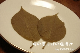 桜の葉っぱの塩漬け
