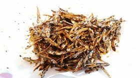 簡単 レンジで田作り