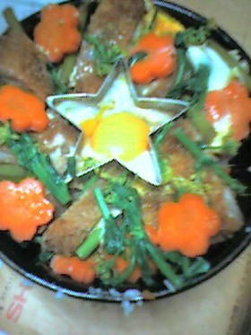 スターボウ☆アインシュタインカツ丼002