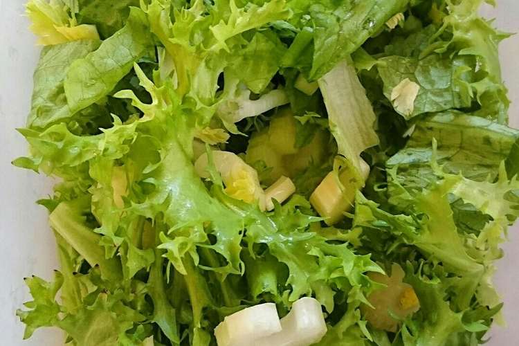 葉野菜を冷蔵庫の中で育てながら保存する レシピ 作り方 By Kuragenoie クックパッド 簡単おいしいみんなのレシピが350万品