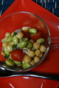 ひよこ豆のサラダ（マリネ）～エスニック　