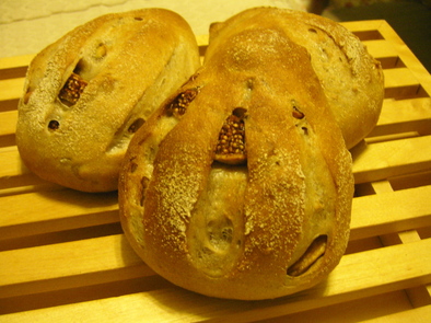 イチジクルミのライ麦パン＠BunBunの写真