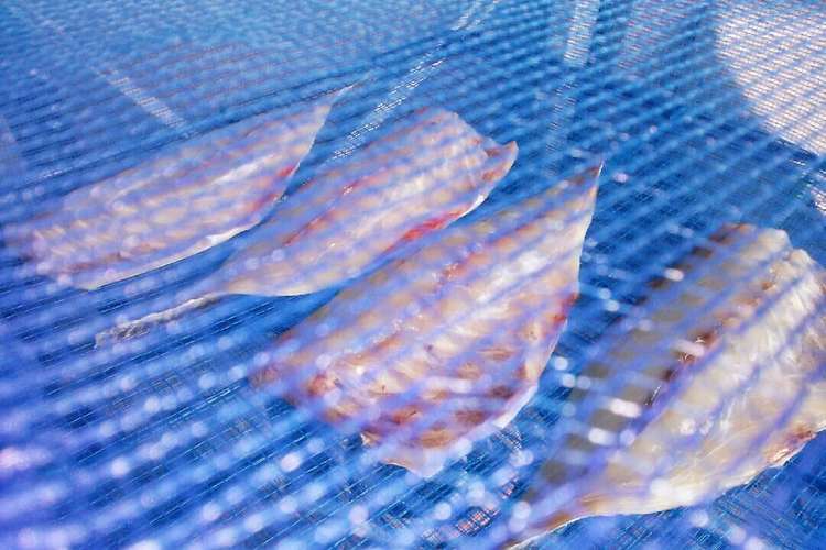 魚(大アジ)の一夜干しの作り方