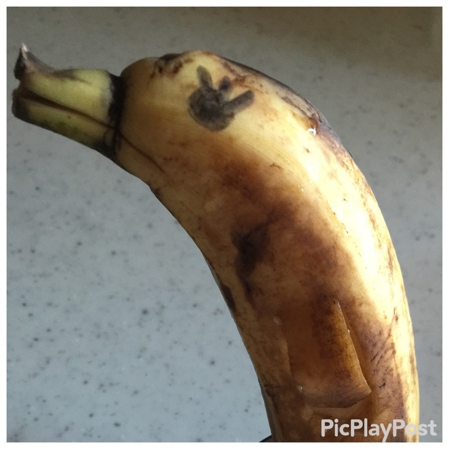 キャラ弁★イルカ バナナの飾り切り 2の画像