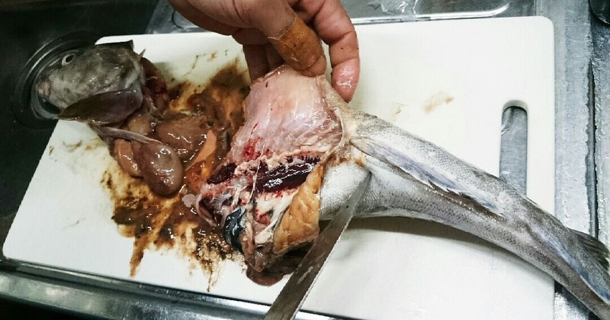 マグロ漁師流簡単タラの捌き方 レシピ 作り方 By ぺトロ クックパッド 簡単おいしいみんなのレシピが358万品