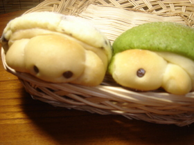 かめさんかめさん