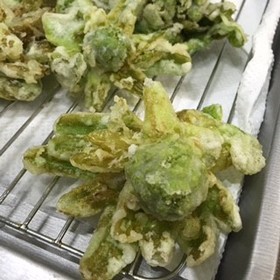 ふきのとうの天ぷら 卵なし