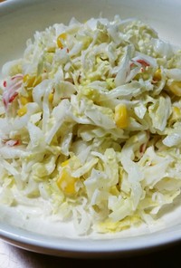 白菜大量消費❗白菜のコールスローサラダ
