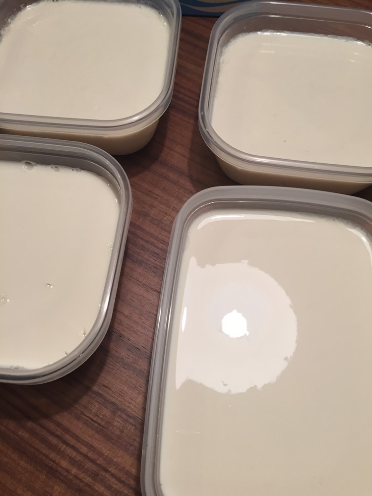 玄米乳酸菌  豆乳ヨーグルト 基本編の画像