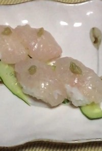 キュウセンの寿司