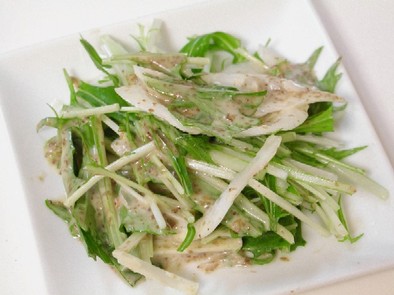 新たまねぎと水菜のサラダの写真