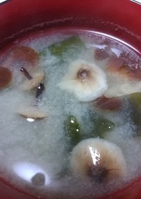 天然エノキダケ、シモフリシメジの味噌汁