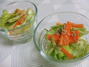 春野菜の簡単浅漬けの写真