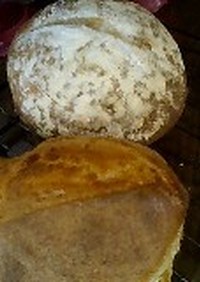 天然酵母のふつうのパン