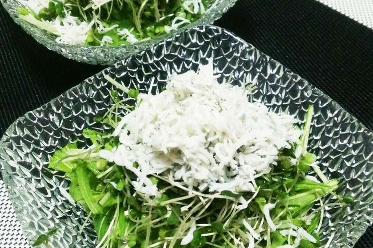 水菜 しらすのさっぱりサラダ ごま油風味 レシピ 作り方 By 缶チュー クックパッド 簡単おいしいみんなのレシピが353万品