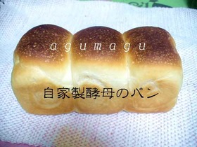 **ヨーグルト酵母で作った♥パン記録**