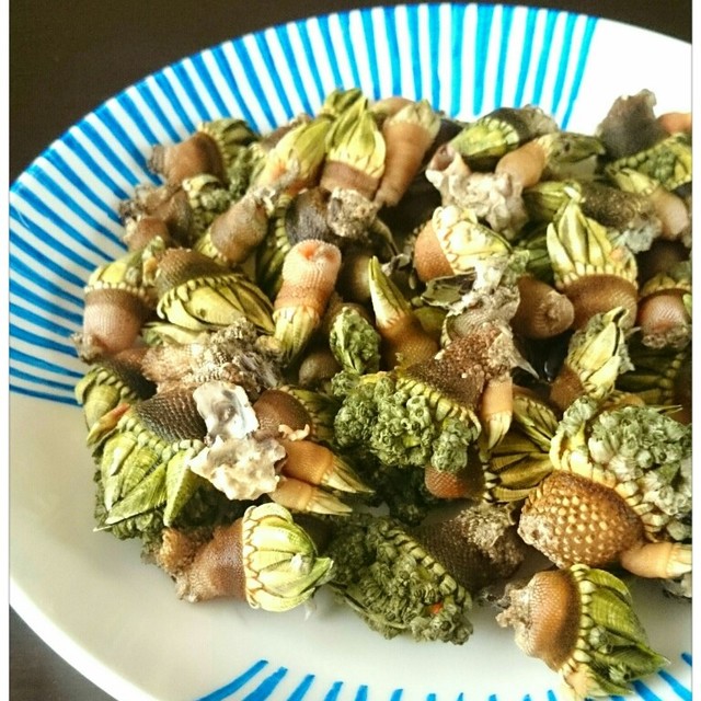 食べなきゃ損 超美味なカメノテの塩茹で レシピ 作り方 By まなげ クックパッド 簡単おいしいみんなのレシピが362万品
