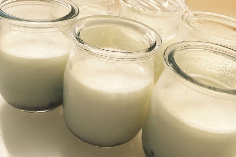 簡単もっちり濃 い牛乳プリン レシピ 作り方 By マジュマジュ クックパッド 簡単おいしいみんなのレシピが371万品