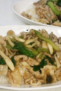 豚肉とチンゲン菜の中華風あんかけご飯
