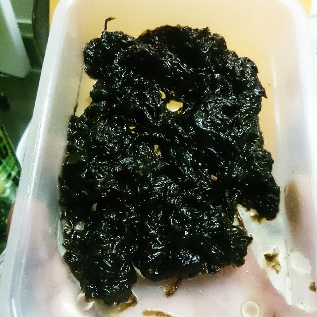 生海苔でご飯ですよ レシピ 作り方 By じゅに D クックパッド 簡単おいしいみんなのレシピが361万品