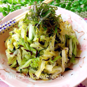 常備菜に♡キャベツ&ひじきの浅漬け
