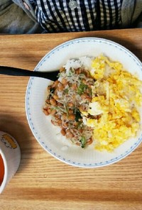 大人も子どもも！納豆しらす丼