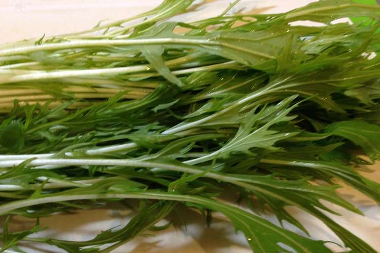 水菜の保存 レシピ 作り方 By まきまきたまご クックパッド 簡単おいしいみんなのレシピが366万品