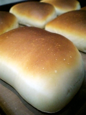 みんな大好き!ココナッツクリームパン