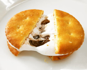 チョコマシュマロ スモア S'more