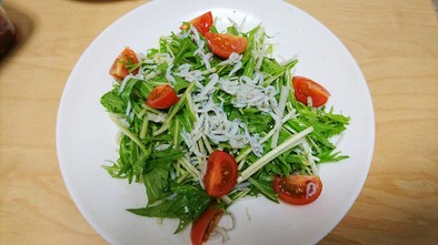 超簡単‼しらすと水菜のサラダの写真