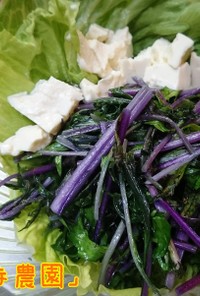 紫水菜のサッと炒めサラダ