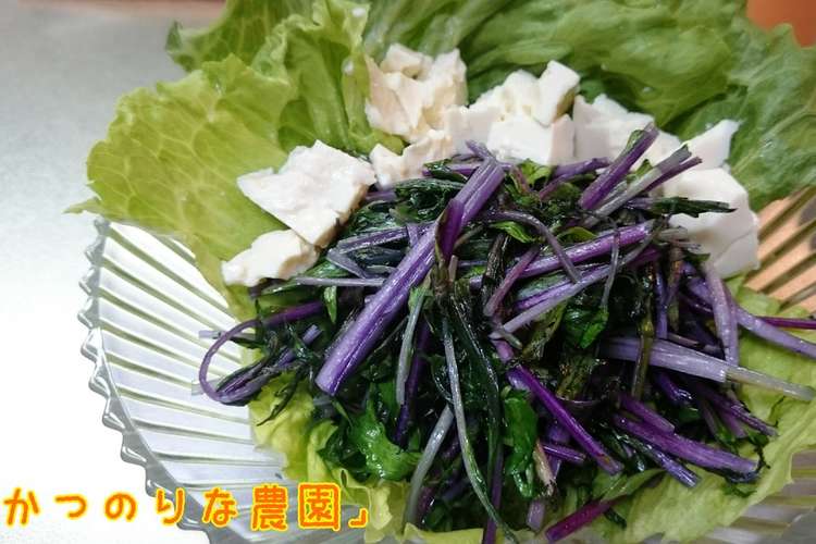 紫水菜のサッと炒めサラダ レシピ 作り方 By かつのりな農園 クックパッド 簡単おいしいみんなのレシピが361万品