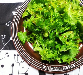 簡単☆わさび菜サラダ
