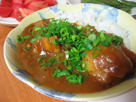 本格風☆ウチのカレーねぎトッピング!