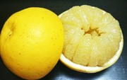 初めに剥いておく文旦。の写真