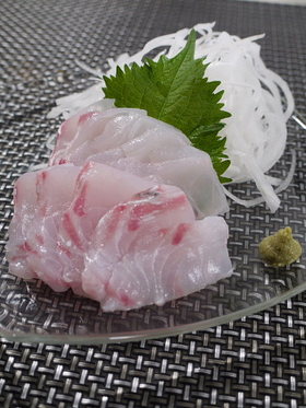 魚を捌こう!メジナ刺身編