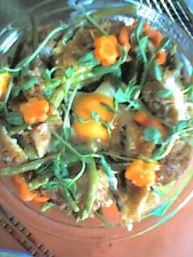 スターボウ☆アインシュタインカツ丼003